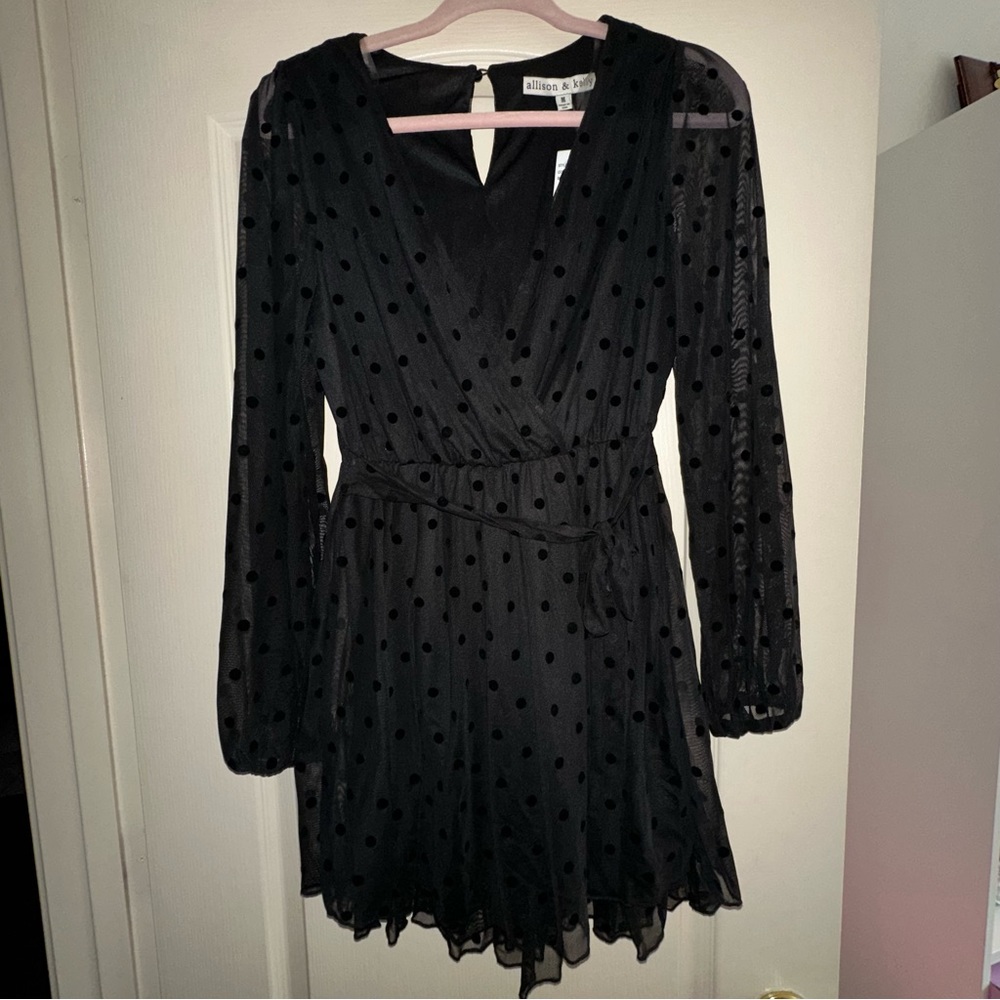 Allison & Kelly mesh polka dot dress size M
